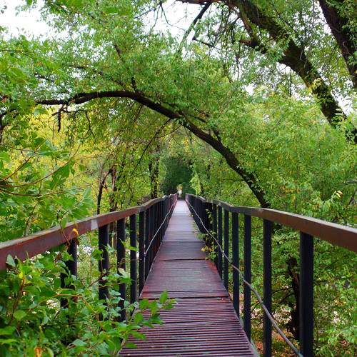 Bridge to the greenland
