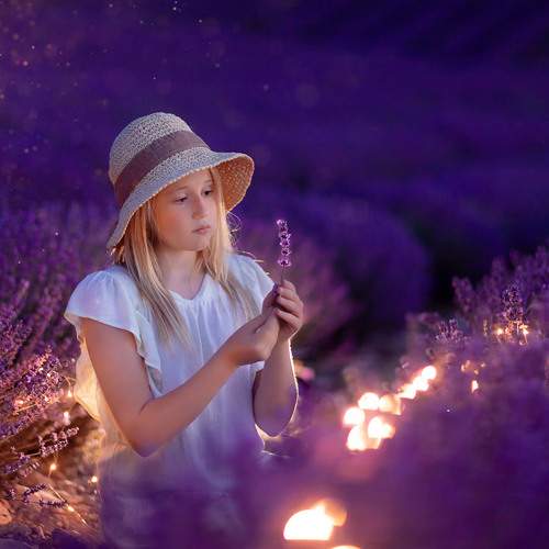 Photo #6830413