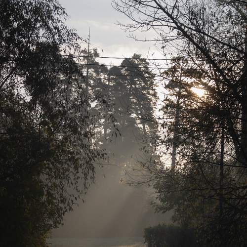 Photo #6830435