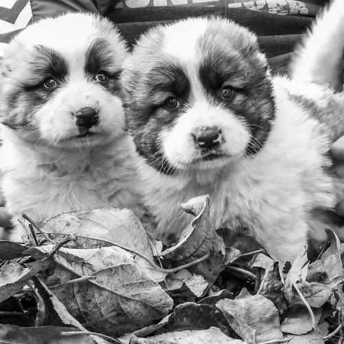 Photo #6830662