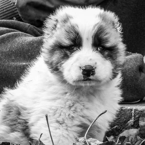 Photo #6830669