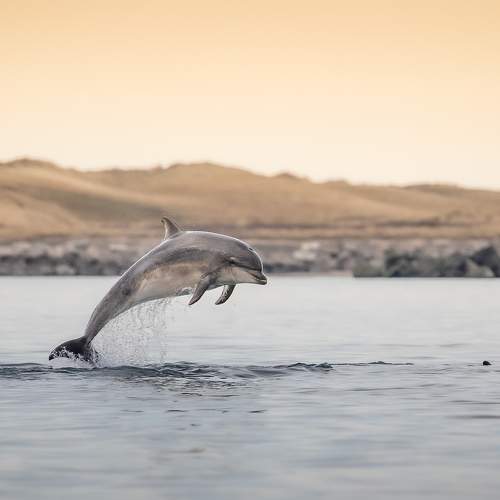Photo #6830721