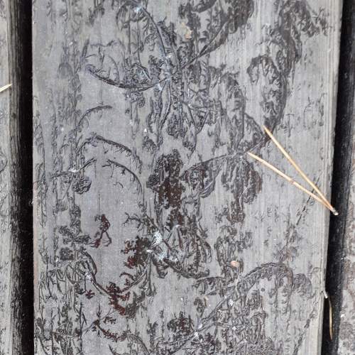 Photo #6831852