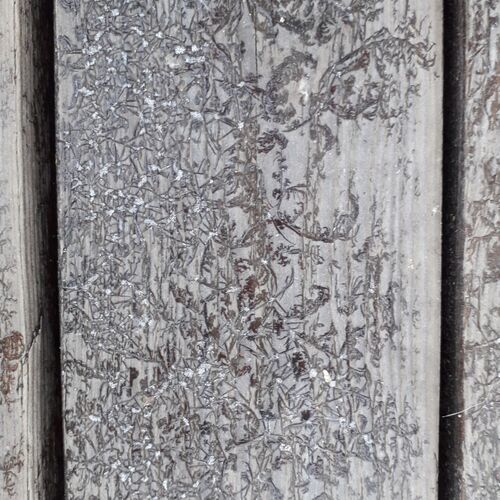 Photo #6831962