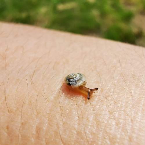 Photo #6832218