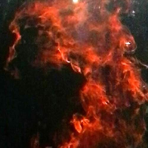 Photo #6832424