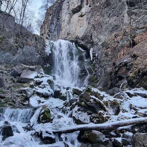 Photo #6833488