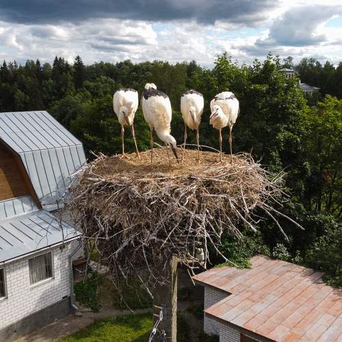 Photo #6833701