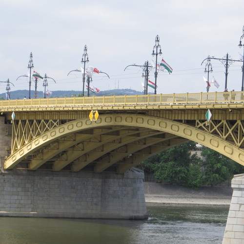 Photo #6834227