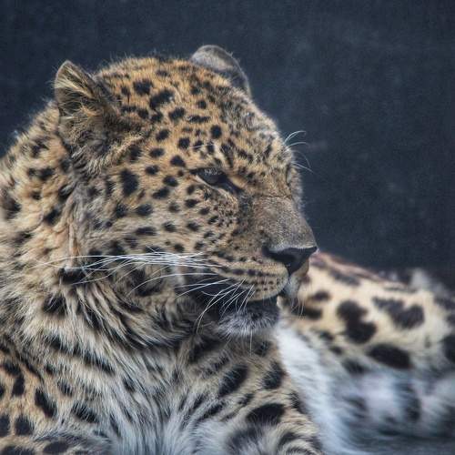 Photo #6834563