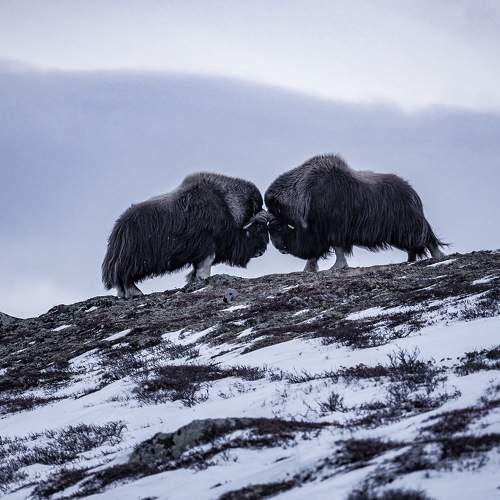 Photo #6834946