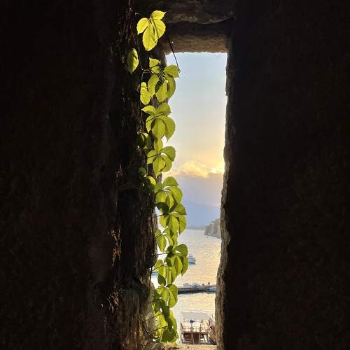 Photo #6835137