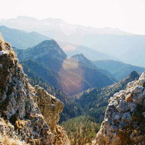 Photo #6835300