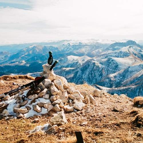Photo #6835301