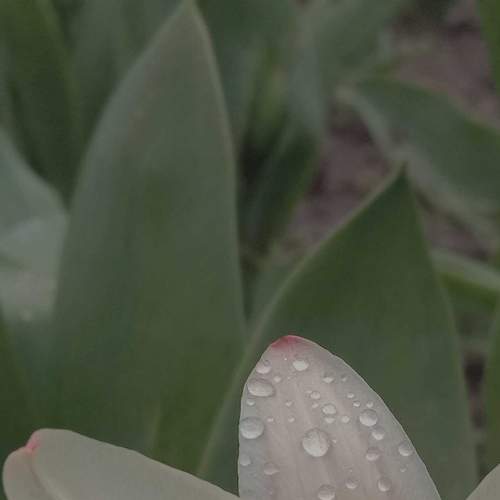 Photo #6835369