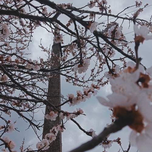 Photo #6835384
