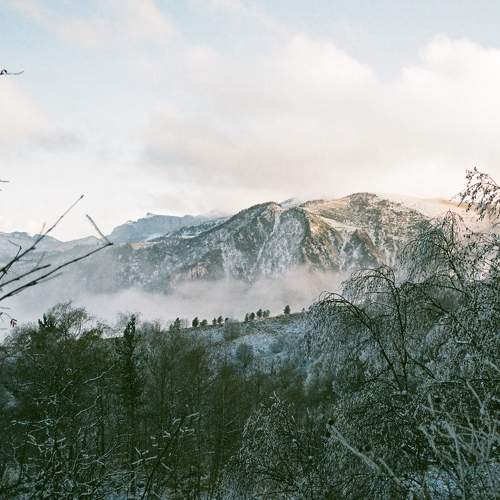 Photo #6835428
