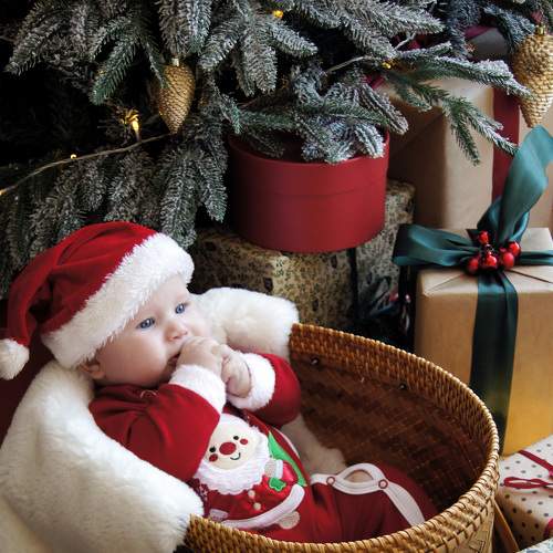 Photo #6835884