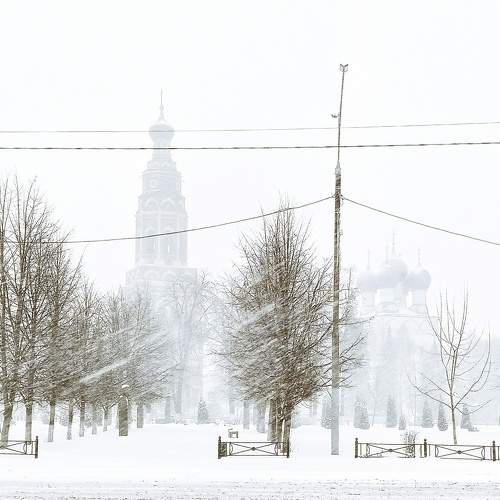Photo #6835919