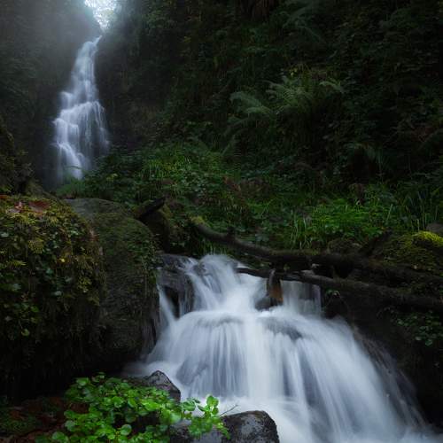 Фотография #6836021