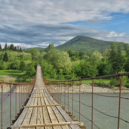 Photo #6836064