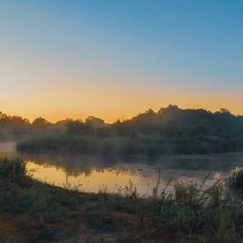 Photo #6836070