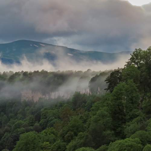 Photo #6836094