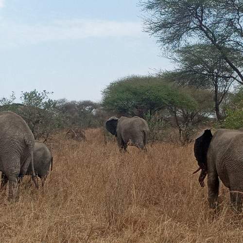Photo #6836379