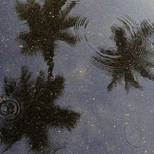 Photo #6836505