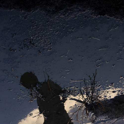 Photo #6836510