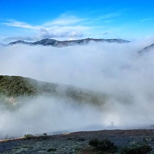 Photo #6836907