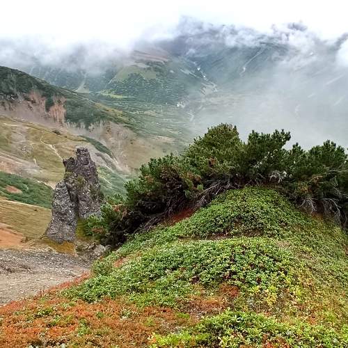 Камчатка