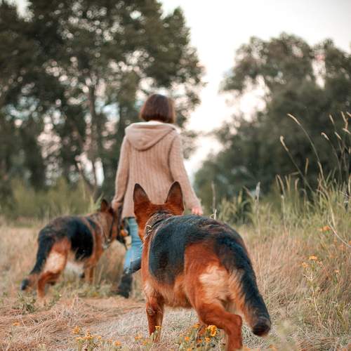 Photo #6837179