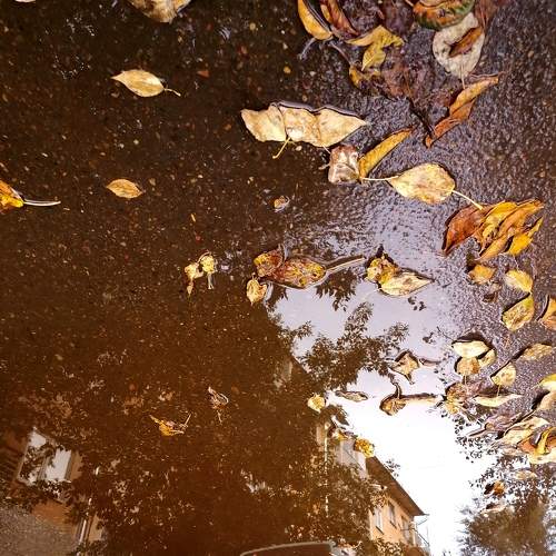 Photo #6837180