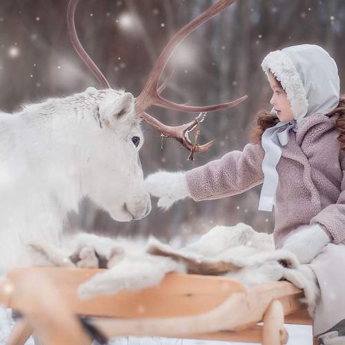 Photo #6837200