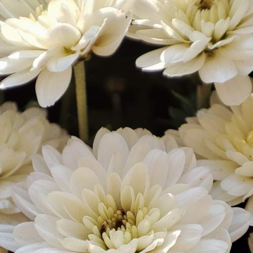 Photo #6837594