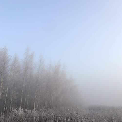 Photo #6837620