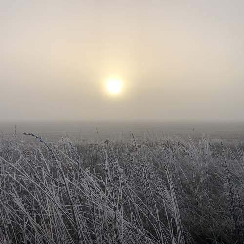 Photo #6837621