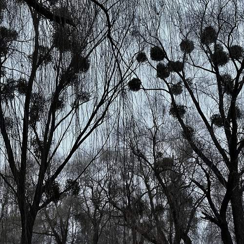 Photo #6837750