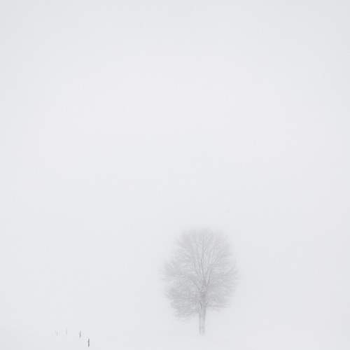 Фотография #6838223