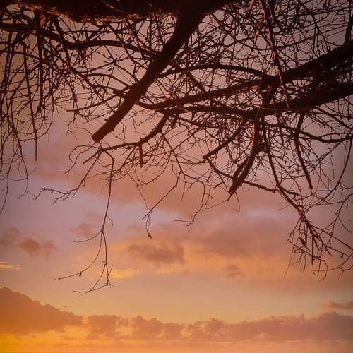 Photo #6838253