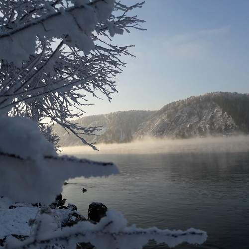 Photo #6838392