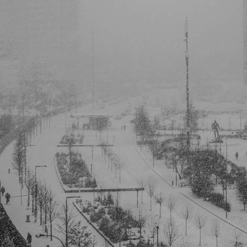 Photo #6838402