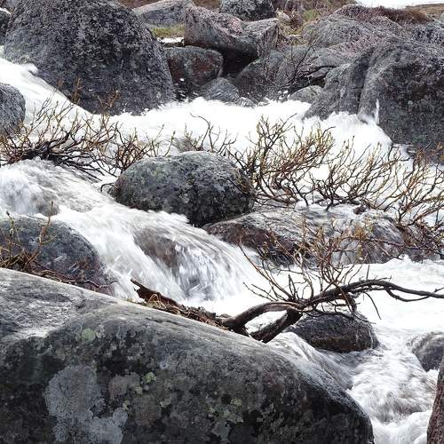 Photo #6838416