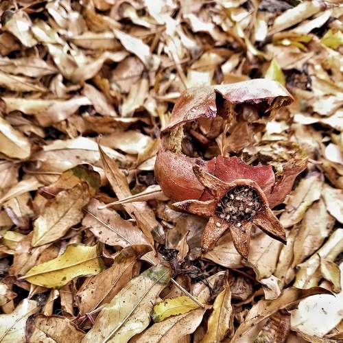 Photo #6838443