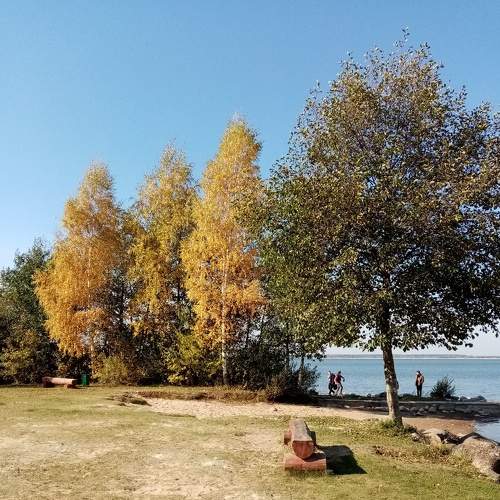 Photo #6838512