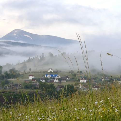 Photo #6838883