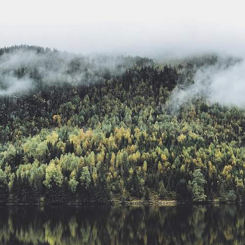 Фотография #6838910