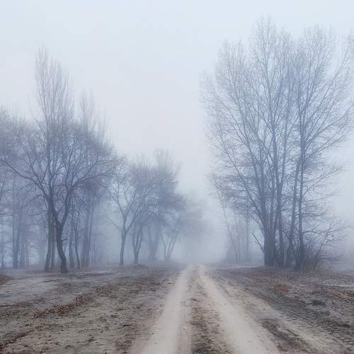 Photo #6839201