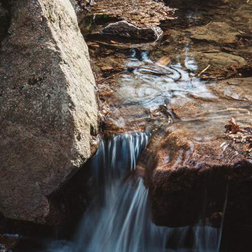 Photo #6839294